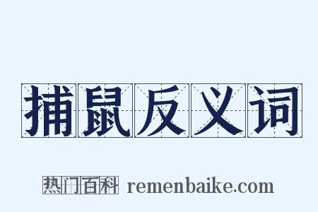 捕鼠反义词是什么意思的图片